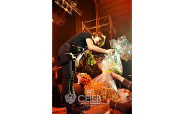 Диана Арбенина вышла на Арену