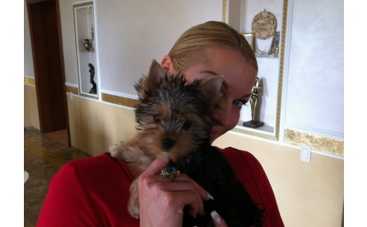 Анастасия Волочкова просит помощи