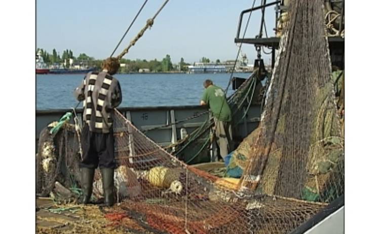 Интер расскажет правду о «черном» рыбном рынке
