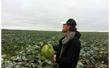 С гастролей Дима Билан привез... кочан капусты