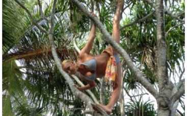 Анастасия Волочкова залезла на дерево