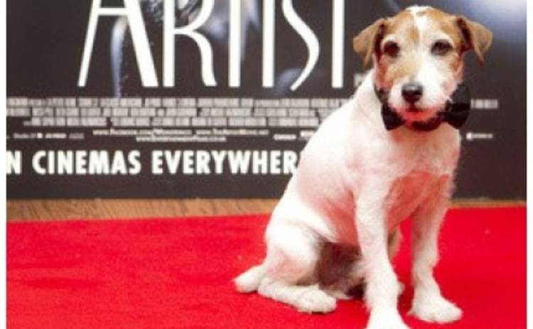 Соведущим церемонии Оскар станет собака