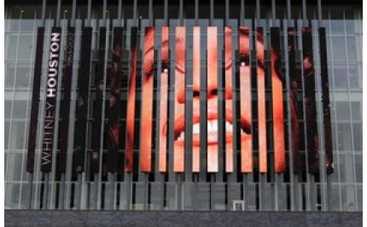 Рост цен на альбомы Уитни Хьюстон вызвала ошибка – Sony