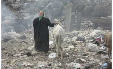 Arsenale-2012: Египетская художница устроит в Киеве перформанс под Ослиную симфонию