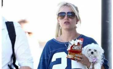 Бритни Спирс вышла в свет с беспорядком на голове