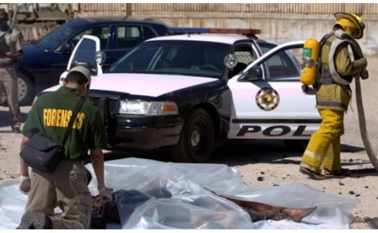 На что сходить в кино: 