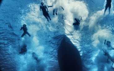 Что смотреть в Интернете и на DVD: "Материк"