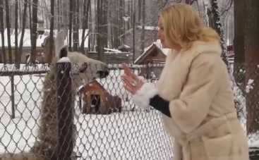 Анастасия Волочкова подружилась с ламами