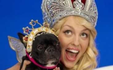 Оля Полякова ненавидит котов (ФОТО)