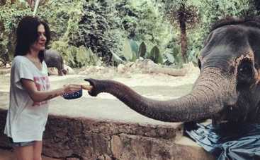 Эрика водит дружбу со слоном (ФОТО)