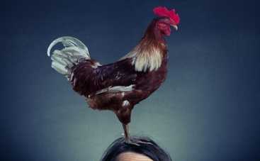 Зороастрийский гороскоп на 2014 год - 2014 год Лошади