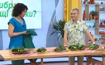 Все буде добре: выбираем огурцы (ВИДЕО)
