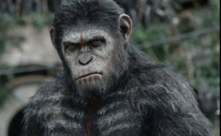 Планета обезьян: Гэри Олдмен против Горлума