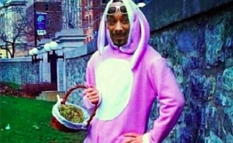 Snoop Dogg стал ведущим программы о животных