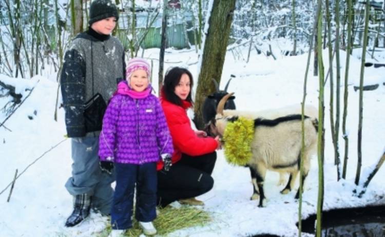 Новый год 2015: Евгения Добровольская нарядила коз для праздника (ФОТО)