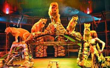 Цирк родом из нашего детства