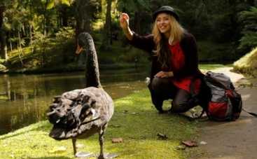 Орел и решка: проект снимается под дулом автомата