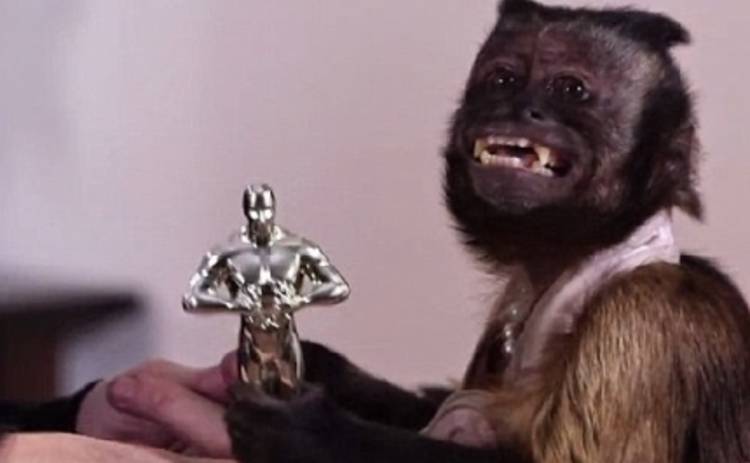 Первый Оскар 2015 получила обезьянка