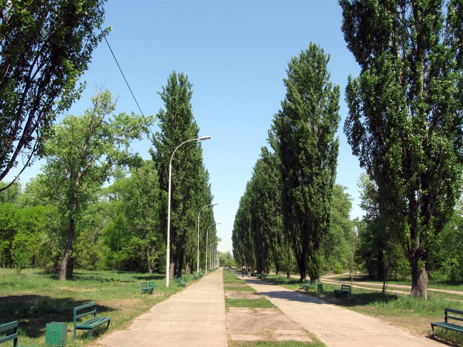 Киевский парк Дружбы народов