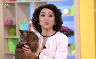 Все буде добре: делаем спальное место для кота своими руками