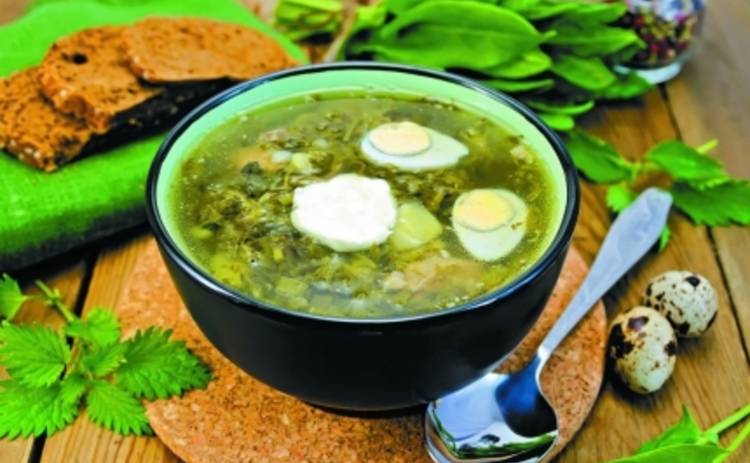 Летние супы: все оттенки зеленого