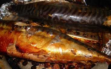 Рецепты блюд из копченой рыбы (фото)