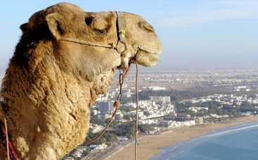 Отдых на море 2015: красочное Марокко