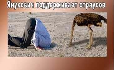 Анекдоты дня: страусы Януковича и не только!