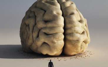 Интересные факты про мозг