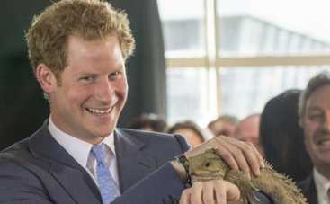 Игра престолов: принц Гарри может появиться в 6 сезоне