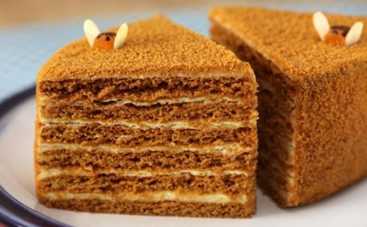 Все буде смачно: Татьяна Литвинова научит готовить медовик – 23.01.2016 (ВИДЕО)