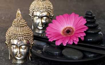 Фен шуй:  комнатные цветы отвечают за гармонию