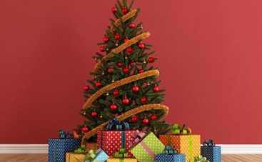 Новый год 2016: на 1+1 сгорела новогодняя елка (ВИДЕО)