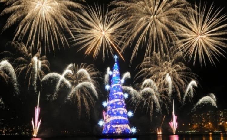 Новый год 2016: самые необычные елки (ФОТО)