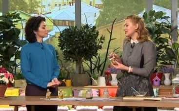 Масло шиповника – эликсир молодости: рецепт крема от Татьяны Литвиновой (ВИДЕО)