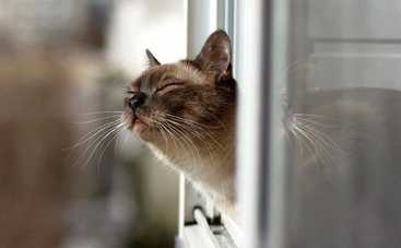 Сегодня погода будет радовать. Правда, не всех