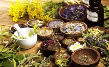 Травы, которые могут быть опасны для здоровья