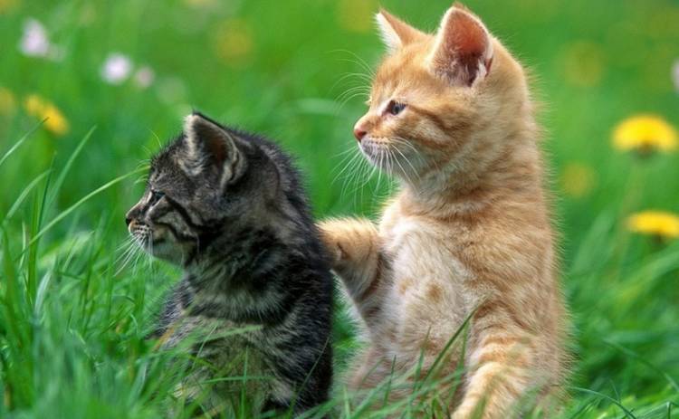 В Украину возвращается жара