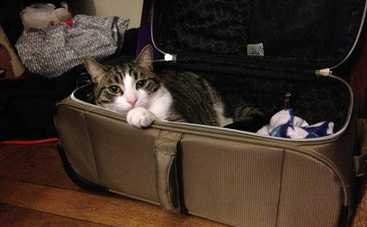 Некоторым киевлянам советуют срочно покинуть город