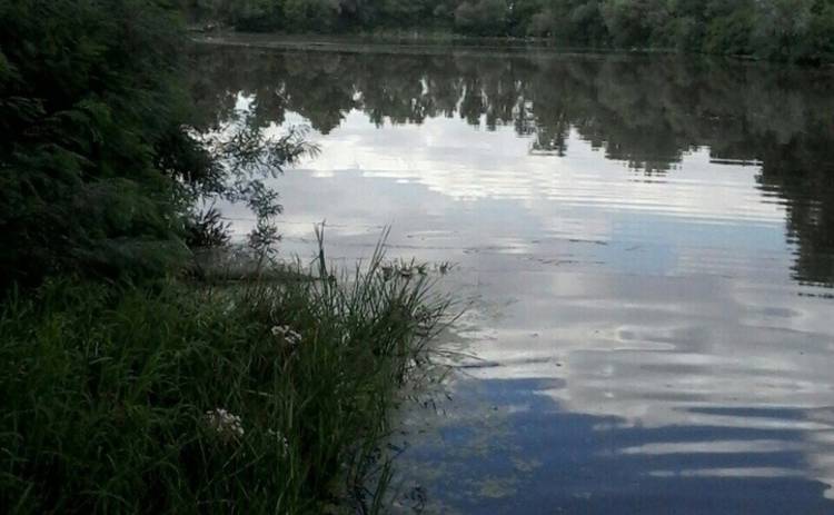 В Киеве неизвестные отравили реку