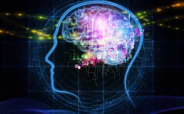 ТОП-5 продуктов, которые необходимы нашему мозгу