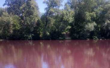 Вода в столичной реке стала ярко-красной (фото)