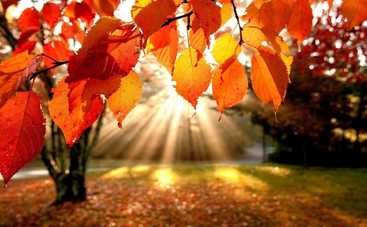 Начало недели порадует почти всех украинцев