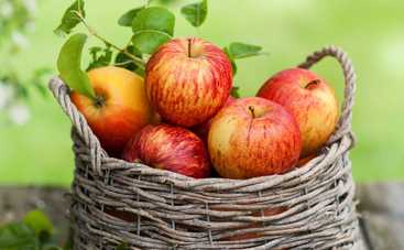 Все буде смачно: 10 лучших блюд из яблок - часть 2 (эфир от 09.10.2016)