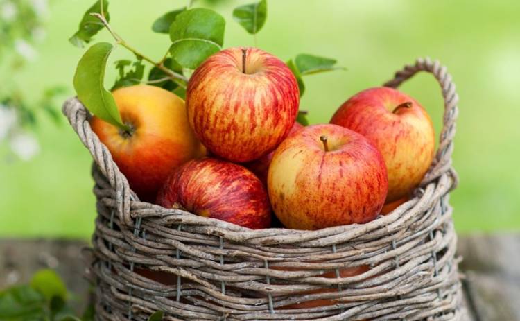 Все буде смачно: 10 лучших блюд из яблок - часть 2 (эфир от 09.10.2016)