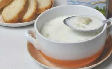 Молочный суп с творожными галушками (рецепт)