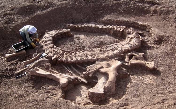 Археологам впервые удалось обнаружить мозг динозавра