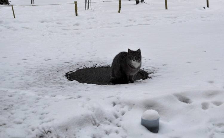 Сегодня украинцев притрусит снежком