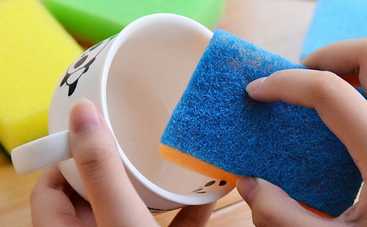 Назван самый грязный предмет в доме