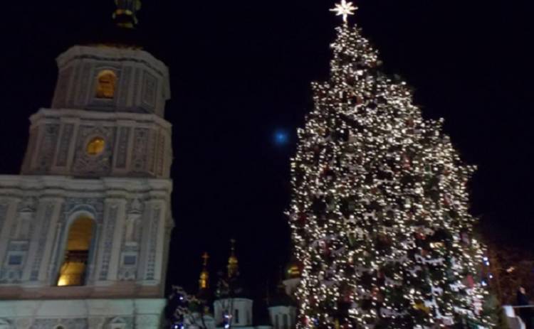 Доставка главной елки страны в Киев обойдется дороже самого дерева